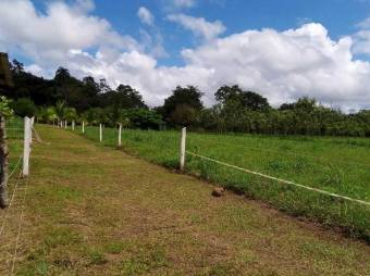 MLS-25-1273 LS VENTA FINCA GUATUSO ALAJUELA MLS-25-1273 LS VENTA FINCA GUATUSO ALAJUELA