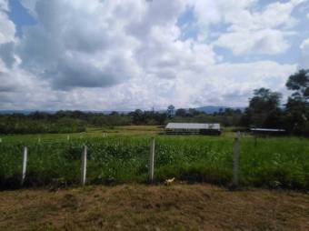 MLS-25-1273 LS VENTA FINCA GUATUSO ALAJUELA MLS-25-1273 LS VENTA FINCA GUATUSO ALAJUELA