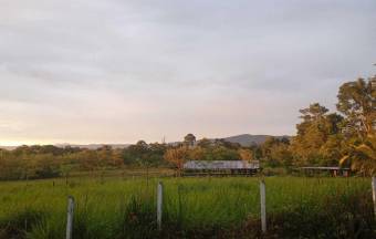 MLS-25-1273 LS VENTA FINCA GUATUSO ALAJUELA MLS-25-1273 LS VENTA FINCA GUATUSO ALAJUELA