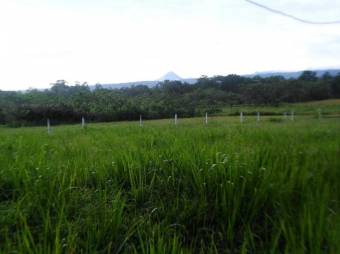 MLS-25-1273 LS VENTA FINCA GUATUSO ALAJUELA MLS-25-1273 LS VENTA FINCA GUATUSO ALAJUELA