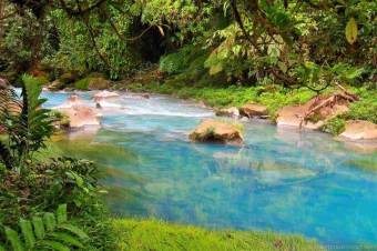 MLS-25-1273 LS VENTA FINCA GUATUSO ALAJUELA MLS-25-1273 LS VENTA FINCA GUATUSO ALAJUELA