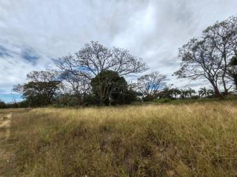 Se vende amplia finca de 8.6 hectáreas en Desamparados Alajuela 25-1444