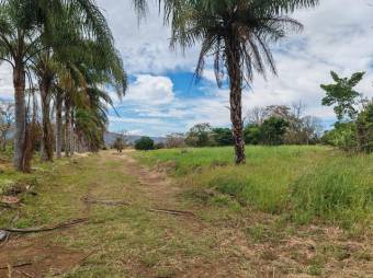 Se vende amplia finca de 8.6 hectáreas en Desamparados Alajuela 25-1444