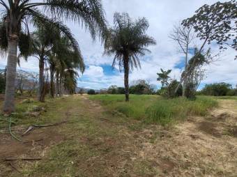 Se vende amplia finca de 8.6 hectáreas en Desamparados Alajuela 25-1444