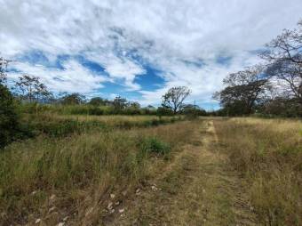 Se vende amplia finca de 8.6 hectáreas en Desamparados Alajuela 25-1444