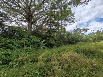 Se vende amplia finca de 8.6 hectáreas en Desamparados Alajuela 25-1444