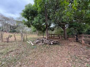 Se vende amplio lote de 6.4 hectáreas en La Ceiba de Orotina 25-1427