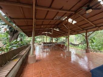 Se vende amplio lote de 6.4 hectáreas en La Ceiba de Orotina 25-1427