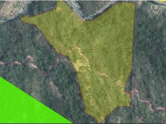 Se vende amplio lote de 36.2 hectáreas en Colon de Mora 25-1322