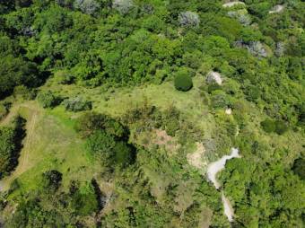 Se vende amplio lote de 36.2 hectáreas en Colon de Mora 25-1322