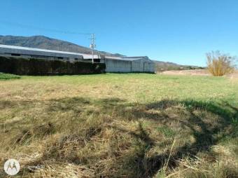 Se vende amplio lote con 8,103m2 en Santa Ana 26-387