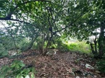 VENTA DE LOTE, PUNTARENAS, CHACARITA.  