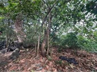 VENTA DE LOTE, PUNTARENAS, CHACARITA.  