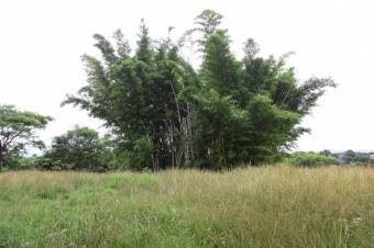 Se vende amplio lote de 2 hectáreas en Póas Alajuela 23-1912 Se vende amplio lote de 2 hectáreas en Póas Alajuela 23-1912