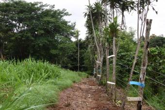 Se vende amplio lote de 2 hectáreas en Póas Alajuela 23-1912 Se vende amplio lote de 2 hectáreas en Póas Alajuela 23-1912