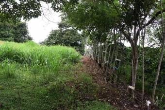 Se vende amplio lote de 2 hectáreas en Póas Alajuela 23-1912 Se vende amplio lote de 2 hectáreas en Póas Alajuela 23-1912