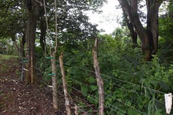 Se vende amplio lote de 2 hectáreas en Póas Alajuela 23-1912 Se vende amplio lote de 2 hectáreas en Póas Alajuela 23-1912