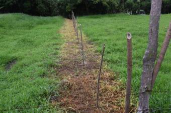 Se vende amplio lote de 2 hectáreas en Póas Alajuela 23-1912 Se vende amplio lote de 2 hectáreas en Póas Alajuela 23-1912