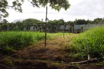 Se vende amplio lote de 2 hectáreas en Póas Alajuela 23-1912 Se vende amplio lote de 2 hectáreas en Póas Alajuela 23-1912