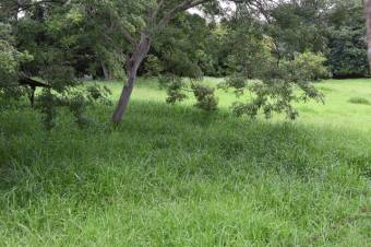 Se vende amplio lote de 2 hectáreas en Póas Alajuela 23-1912 Se vende amplio lote de 2 hectáreas en Póas Alajuela 23-1912