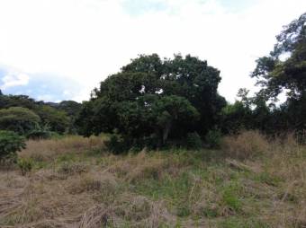 Se vende amplio lote de 5,500m2 en Alajuela Centro 24-355 Se vende amplio lote de 5,500m2 en Alajuela Centro 24-355