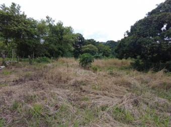 Se vende amplio lote de 5,500m2 en Alajuela Centro 24-355 Se vende amplio lote de 5,500m2 en Alajuela Centro 24-355