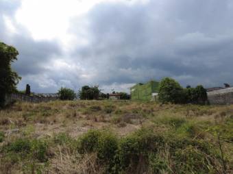 Se vende amplio lote de 5,500m2 en Alajuela Centro 24-355 Se vende amplio lote de 5,500m2 en Alajuela Centro 24-355