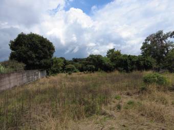 Se vende amplio lote de 5,500m2 en Alajuela Centro 24-355 Se vende amplio lote de 5,500m2 en Alajuela Centro 24-355