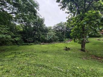Se vende amplio lote de 7000m2 en Guacima 