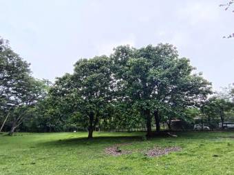 Se vende amplio lote de 7000m2 en Guacima 