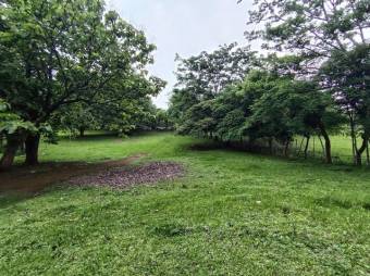 Se vende amplio lote de 7000m2 en Guacima 