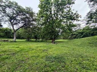 Se vende amplio lote de 7000m2 en Guacima 