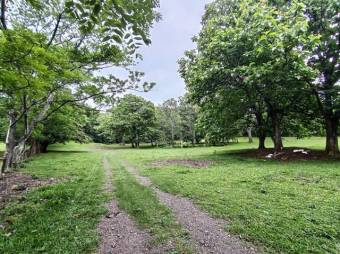 Se vende amplio lote de 7000m2 en Guacima 