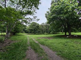 Se vende amplio lote de 7000m2 en Guacima 