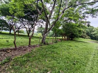 Se vende amplio lote de 7000m2 en Guacima 