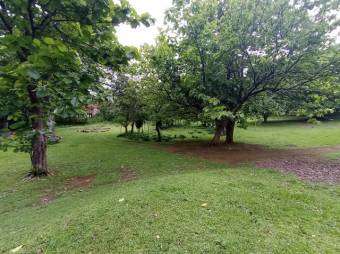 Se vende amplio lote de 7000m2 en Guacima 