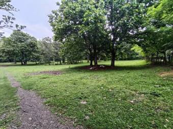 Se vende amplio lote de 7000m2 en Guacima 