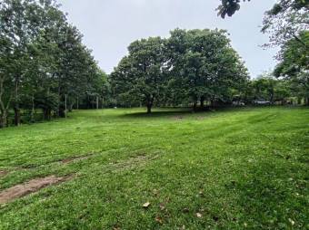 Se vende amplio lote de 7000m2 en Guacima 