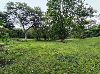 Se vende amplio lote de 7000m2 en Guacima 