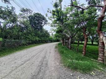 Se vende amplio lote de 7000m2 en Guacima 