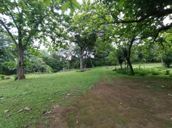 Se vende amplio lote de 7000m2 en Guacima 