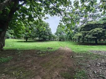 Se vende amplio lote de 7000m2 en Guacima 