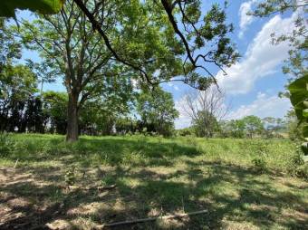 Se vende lote de 8,100m2 con uso mixto en Turrucareas Alajuela 23-3177 Se vende lote de 8,100m2 con uso mixto en Turrucareas Alajuela 23-3177
