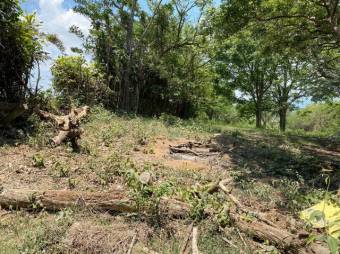 Se vende lote de 8,100m2 con uso mixto en Turrucareas Alajuela 23-3177