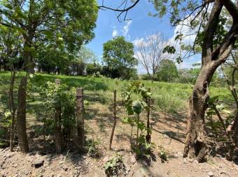 Se vende lote de 8,100m2 con uso mixto en Turrucareas Alajuela 23-3177 Se vende lote de 8,100m2 con uso mixto en Turrucareas Alajuela 23-3177