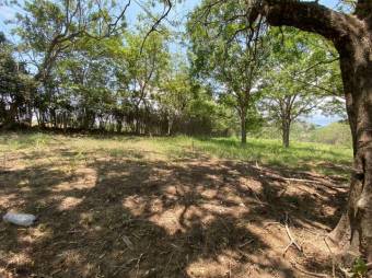 Se vende lote de 8,100m2 con uso mixto en Turrucareas Alajuela 23-3177 Se vende lote de 8,100m2 con uso mixto en Turrucareas Alajuela 23-3177