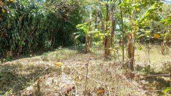 Se vende amplia propiedad con 2,254m2 en Tambor Alajuela 25-1768