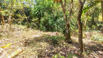 Se vende amplia propiedad con 2,254m2 en Tambor Alajuela 25-1768