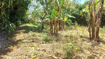 Se vende amplia propiedad con 2,254m2 en Tambor Alajuela 25-1768