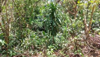 Se vende amplia propiedad con 2,254m2 en Tambor Alajuela 25-1768